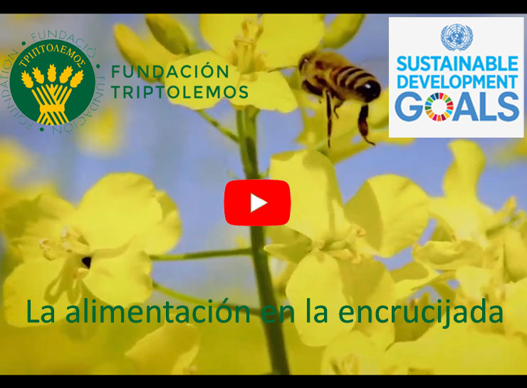 La imagen tiene un atributo ALT vacío; su nombre de archivo es Caratula-Video-ODS-ESP-web-con-logo-ODS-copy.jpg