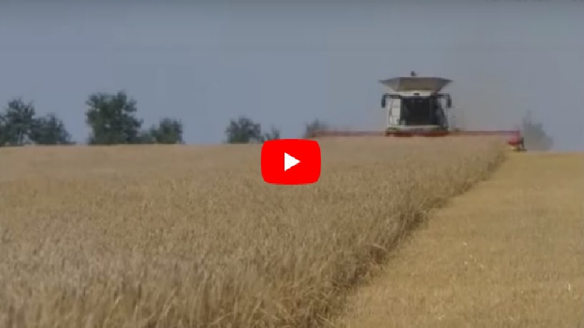 La imagen tiene un atributo ALT vacío; su nombre de archivo es Caratula-video-alimentos-la-conquista-humana.jpg