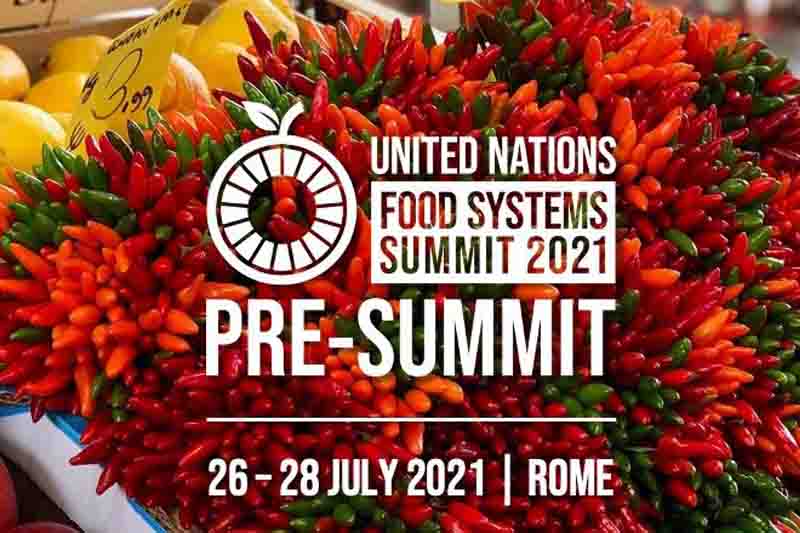 UN pre summit Food Systems