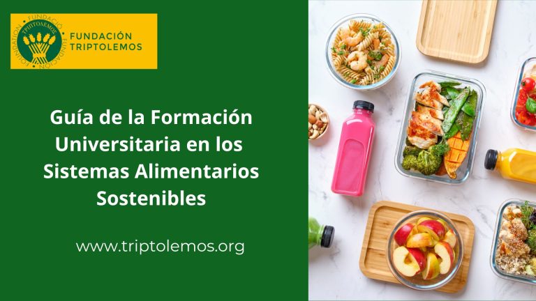 Guía de la Formación universitaria en torno a los Sistemas Alimentarios